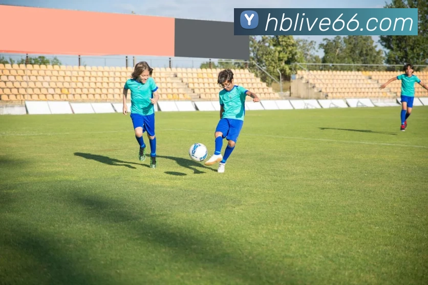 黑白体育直播官网发展历程